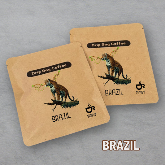 ブラジル 5個入り