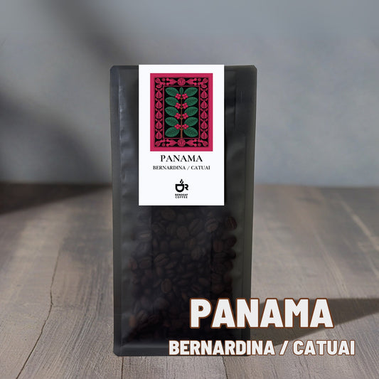 パナマ　Bernardina  Catuai