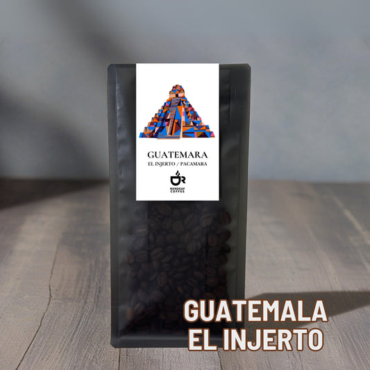 グアテマラ El Injerto パカマラ ウォッシュド