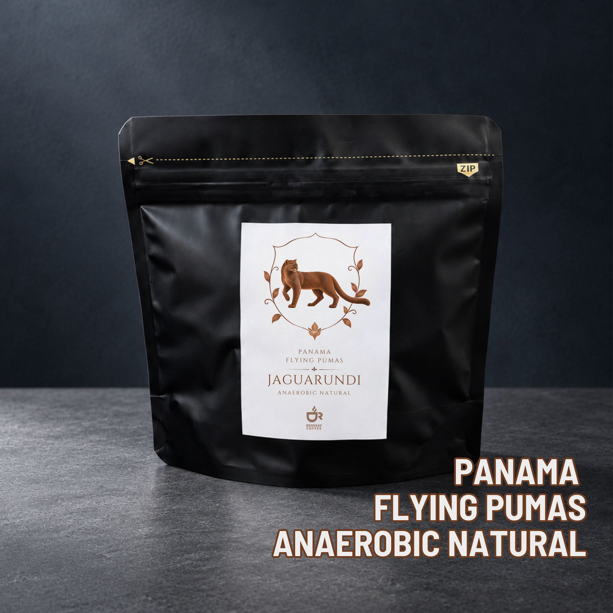 パナマ Flying Pumas ゲイシャ アナエロビック Jaguarundi (30g)